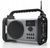 Радиоприемник SOUNDMASTER dab80sg dab+ / fm-rds, bt 5.0, литий-ионный аккумулятор, 5 вт 4005425011385 фото