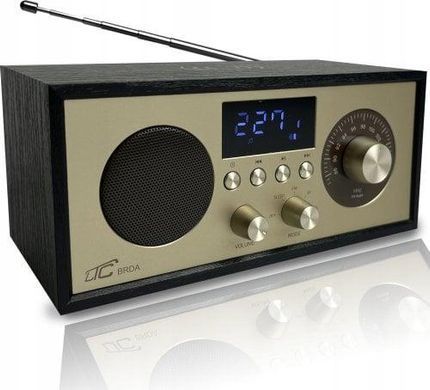 Портативный радиоприемник Brda FM/BT/USB, аккумулятор 2200 мАч, 10 Вт 5902270791013 фото