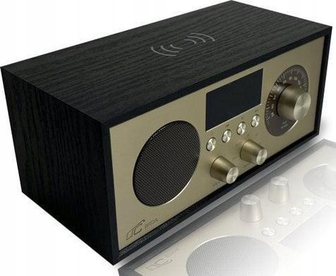 Портативный радиоприемник Brda FM/BT/USB, аккумулятор 2200 мАч, 10 Вт 5902270791013 фото