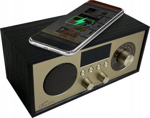 Портативный радиоприемник Brda FM/BT/USB, аккумулятор 2200 мАч, 10 Вт 5902270791013 фото