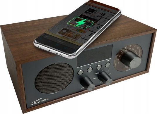 Портативний радіоприймач Brda FM/BT/USB 2200 мАч, 10 Вт, индуктивная зарядка телефона, коричневый/графитовый 5902270791020 фото