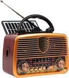 Радіоприймач Blow Портативне аналогове AM/FM Bluetooth на солнячній батарееї 5900804138389 фото