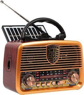 Радіоприймач Blow Портативне аналогове AM/FM Bluetooth на солнячній батарееї 5900804138389 фото